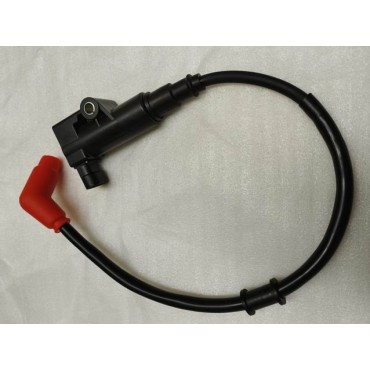 Arora Gt 250 Max  Ateşleme Bobi̇ni̇
