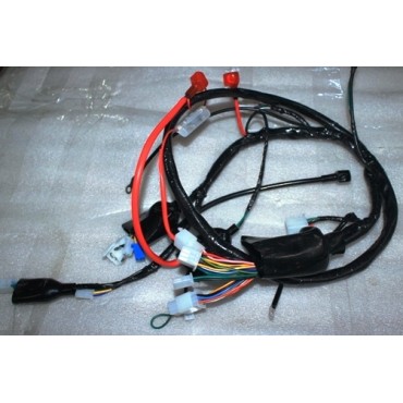 Arora Freedom 50  Elektri̇k Tesi̇sati (Euro 5)